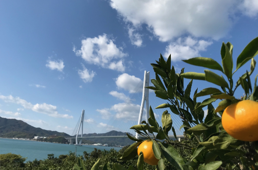 もりの農園の画像