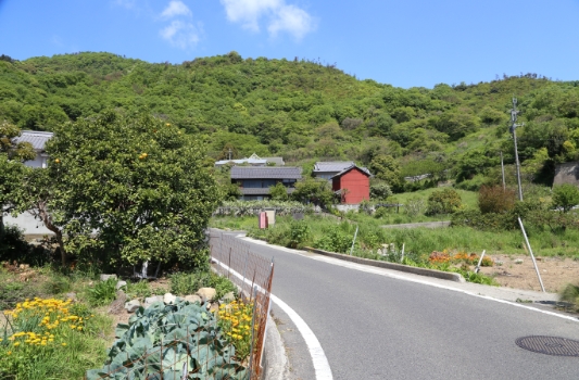 内海ハウスの画像